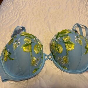 Victoria’s Secret Embroidered Demi Bra